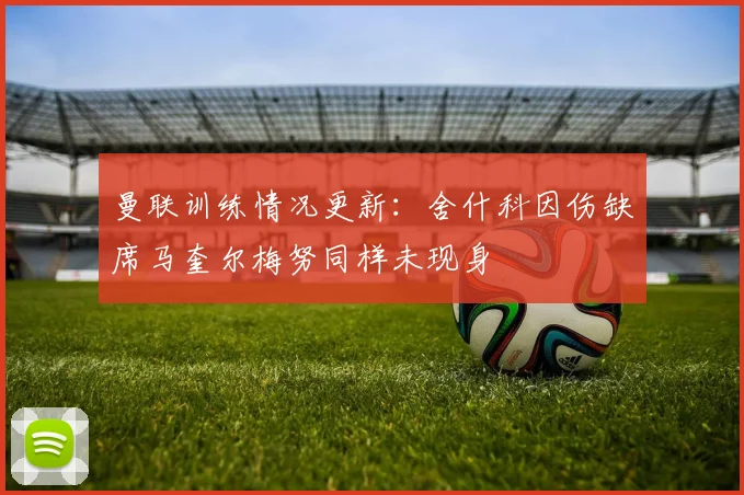 曼联训练情况更新：舍什科因伤缺席马奎尔梅努同样未现身
