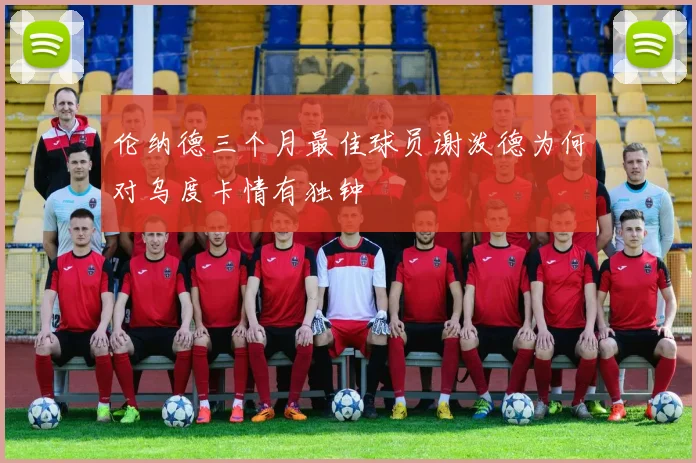 伦纳德三个月最佳球员谢泼德为何对乌度卡情有独钟