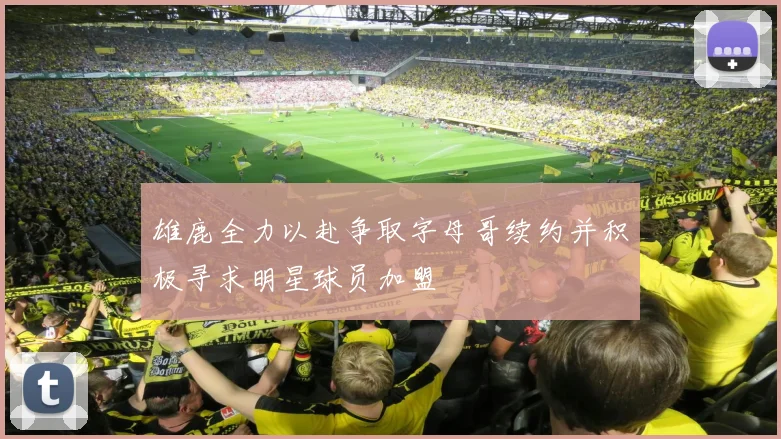 雄鹿全力以赴争取字母哥续约并积极寻求明星球员加盟