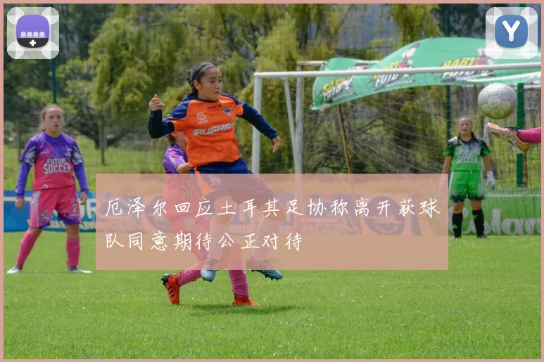 厄泽尔回应土耳其足协称离开获球队同意期待公正对待