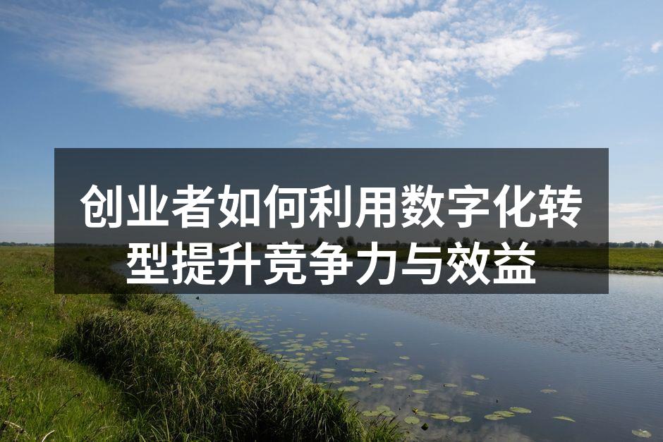 创业者如何利用数字化转型提升竞争力与效益
